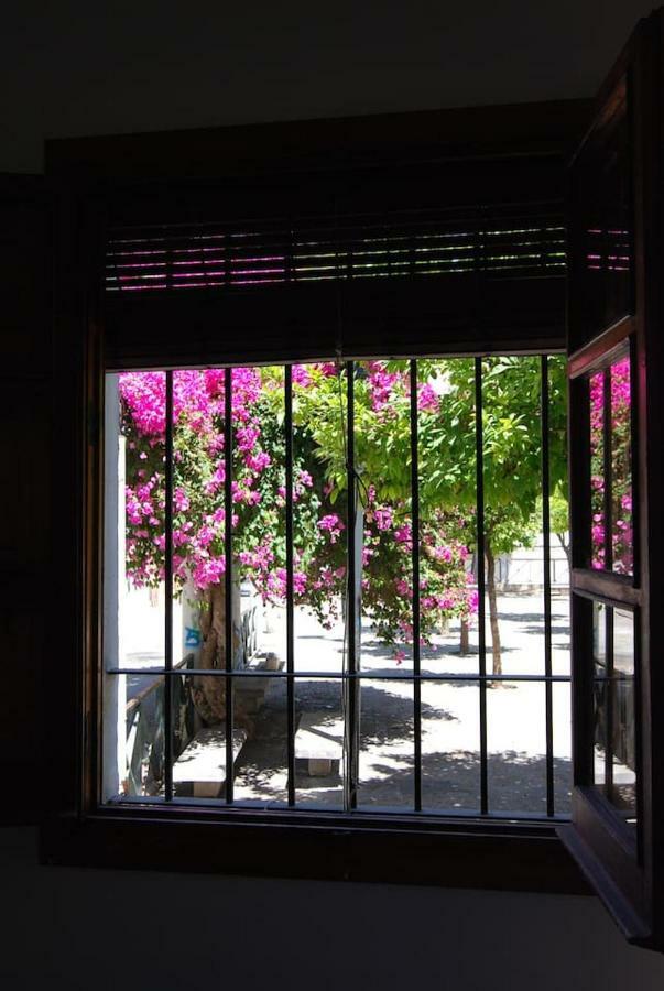 El Rincon De Elena Apartment Jerez de la Frontera Bagian luar foto